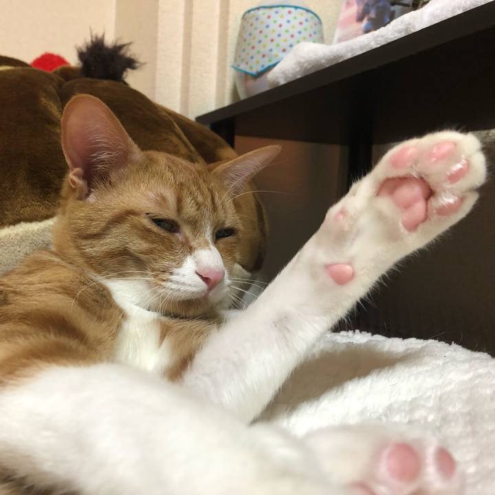 3a8bd8fc b6e6 48b0 bf5f 6dc5d88131e2 1551949965385