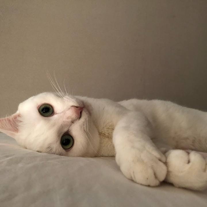 3a8bfe24 5a54 4504 851d 42b03f166d03 1531989123081