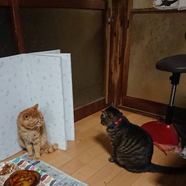 3a8c1ced a7af 46db bf68 c389c5436c36 1654602843364