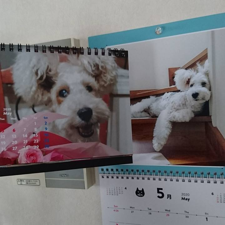 3a8c3248 397f 4cce 817b 5738f9c992e9 1588400037221