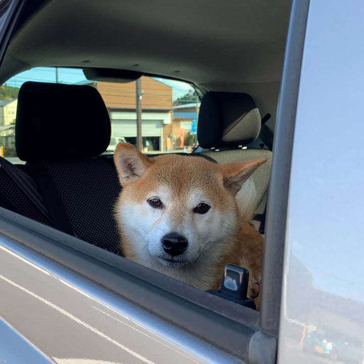 3a8c38b1 ccd8 4c46 aafd b46b863af263 1574592232386