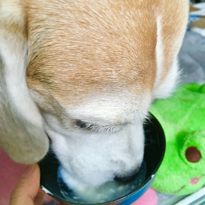 3a8c8517 ac8a 40f2 9d39 db2923e83158 1770782485937