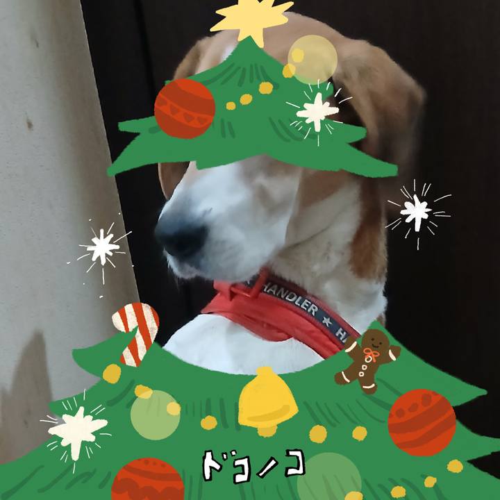 3a8cb3a5 f6ee 44f5 81ee 828a158f7491 1763377515823