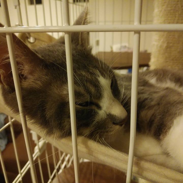 3a8cd44f c2a9 440a b805 8357a548a0a1 1591975099841