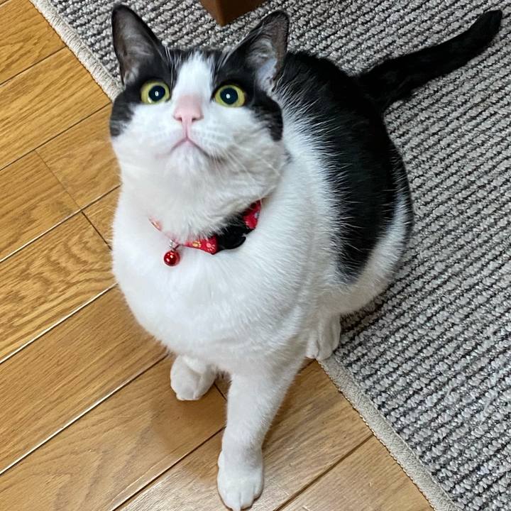 3a8d1cfa f945 4d5e b739 9b791ddb0001 1618643281899