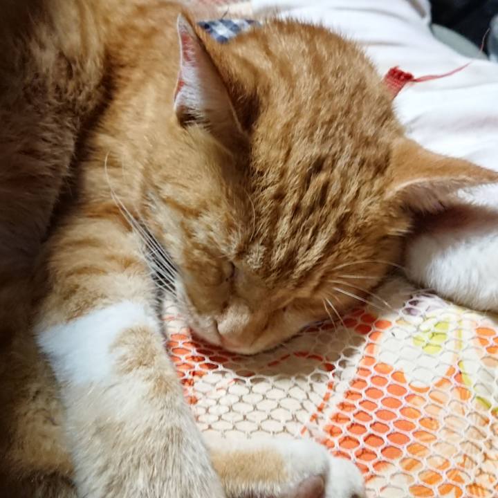 3a8d4a7a 7682 463c 92e0 a8341fba880e 1569759554020