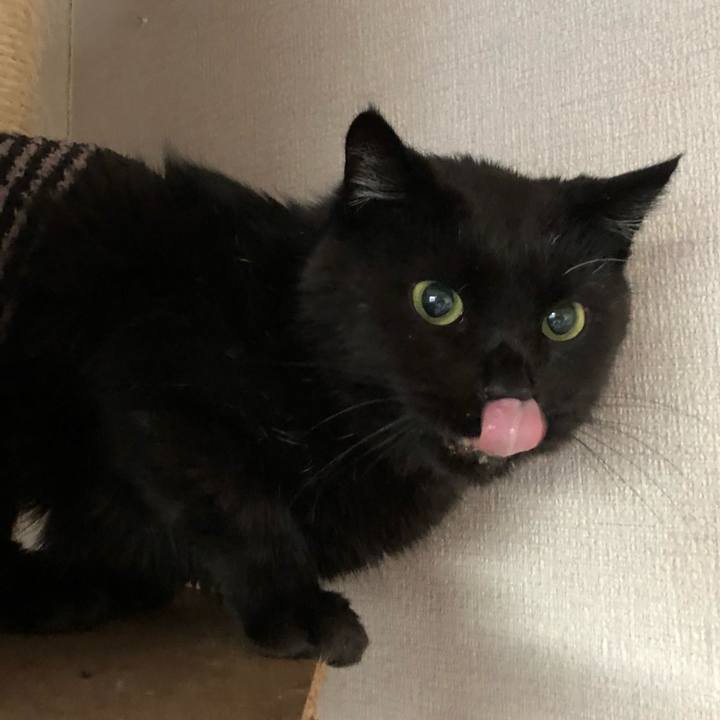 3a8e1b67 134b 4409 bfa3 72c59de09192 1639001631517