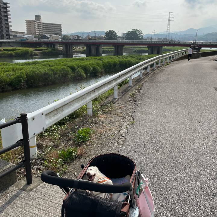 3a8ece0d a27a 4c16 a944 1100532108f2 1655903401276