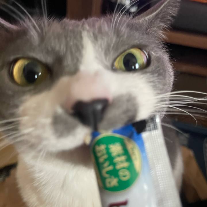 3a8ee8d1 2850 47d8 a32f 493d108ca2d9 1711694262392