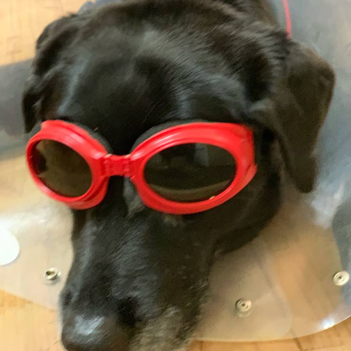 3a8f03a9 6886 4b77 9fa7 2827021b2a55 1570406670912