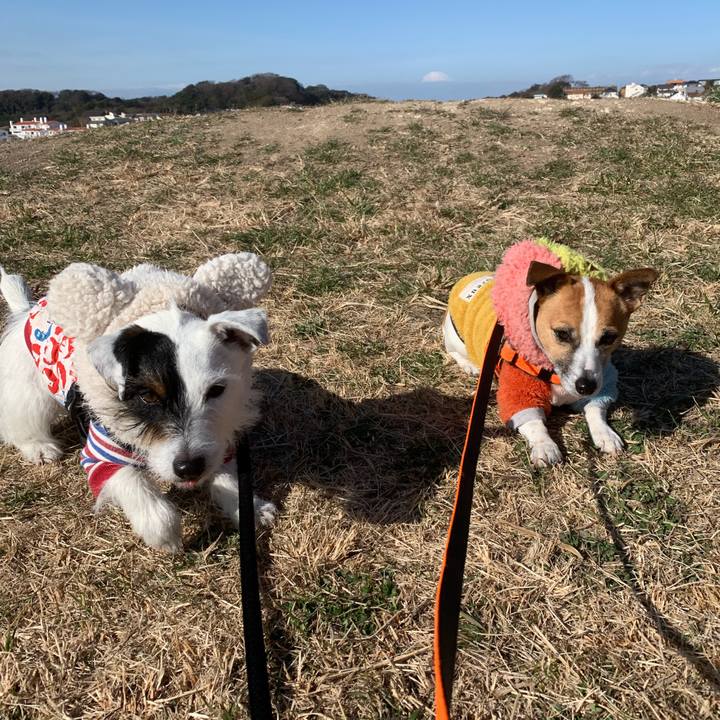 3a8f3fb1 96ea 4a1f b74b bec492e9e360 1549935318707