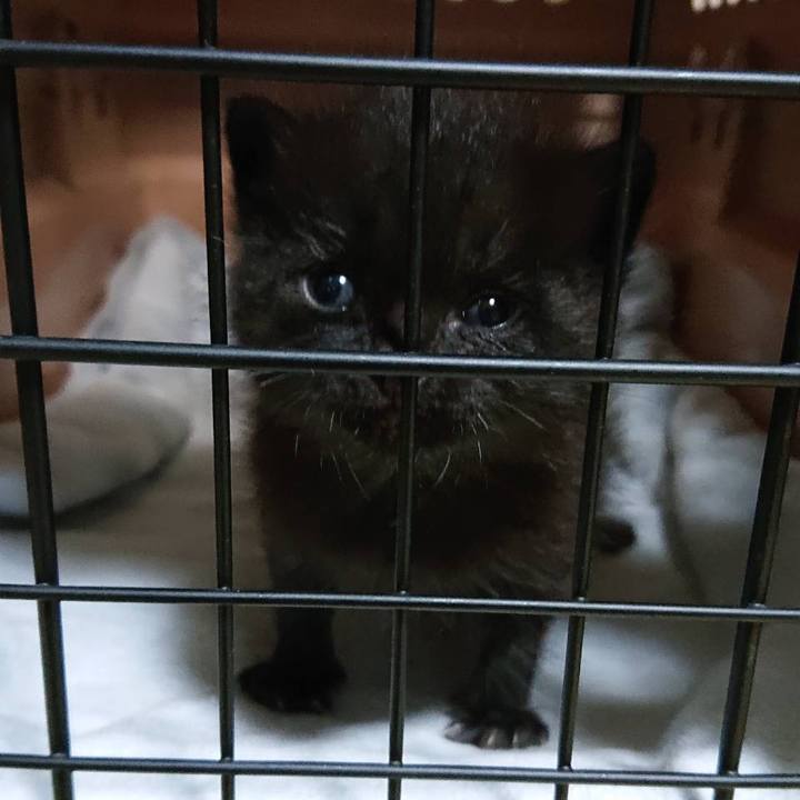 3a8f97ad 451e 4a7b 9152 57a433febbaa 1592041247894