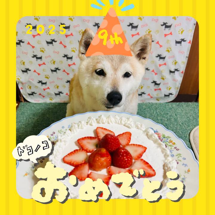 3a8fa9ab d221 47e4 bb07 d8bac280140a 1749127246793