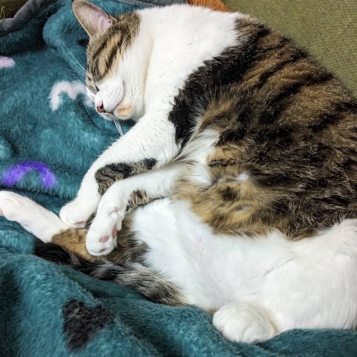 3a8fb659 1ad6 4d03 b202 273aab1ec941 1708314713819