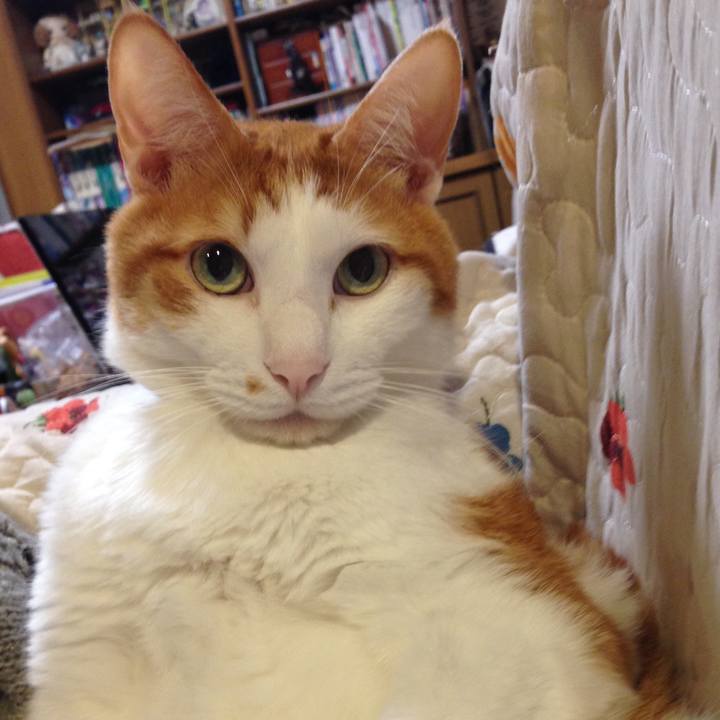 3a8fc694 fd8f 4b14 aaff 11b6a0ae7f4c 1573509187717