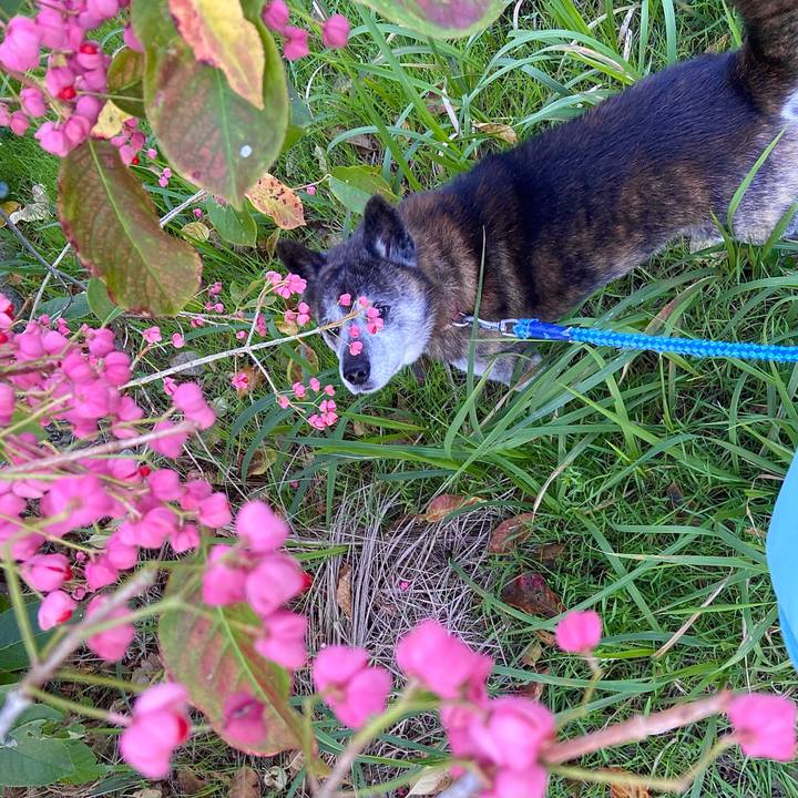 3a8fdee5 edf2 4914 bf8e e4f81239dead 1730155819643