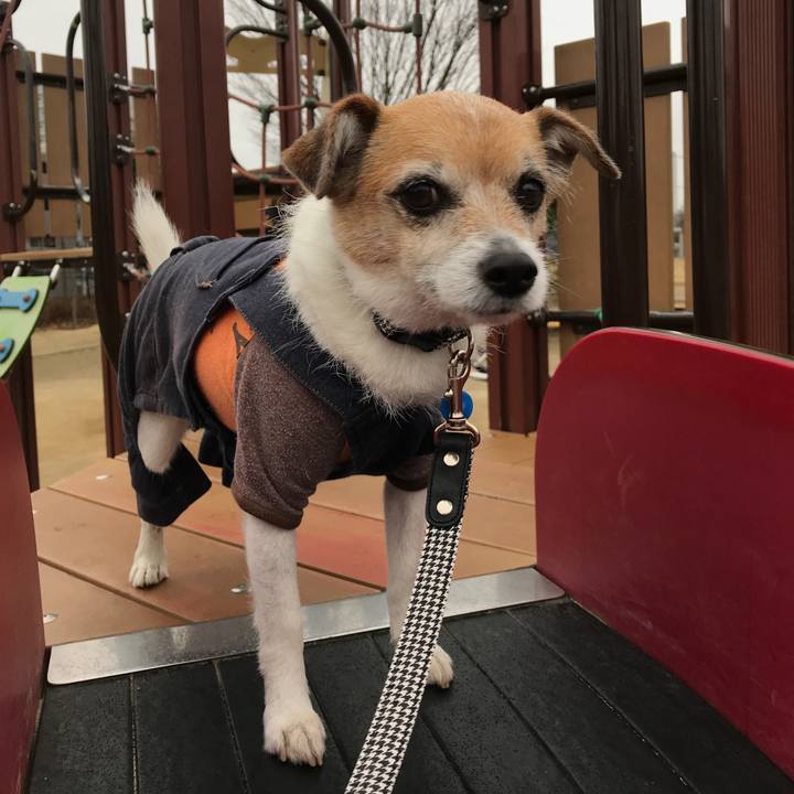 3a9010cb df62 478d 9573 2b1202f3df30 1613347203325