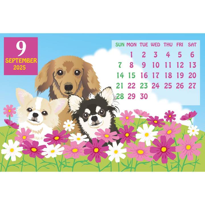 3a90410f bcee 47a6 83d0 d723f97c9911 1756787117327