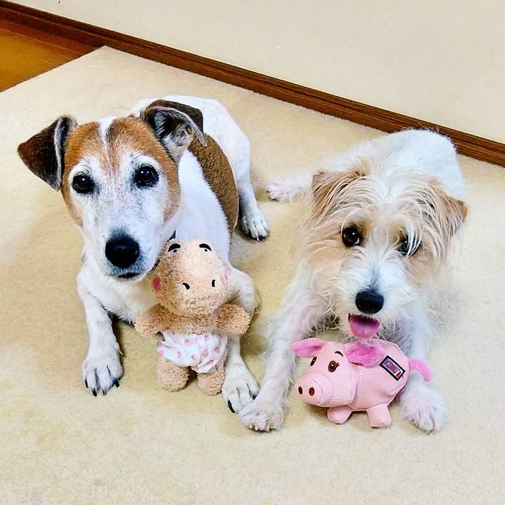 3a9061c7 b93a 428a a6d0 c9d22a294b05 1529500027734