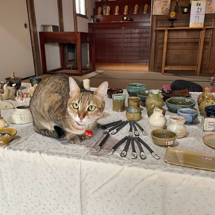 3a906c2a a7e4 457c 8e79 c536a7ebe4d8 1745582980153