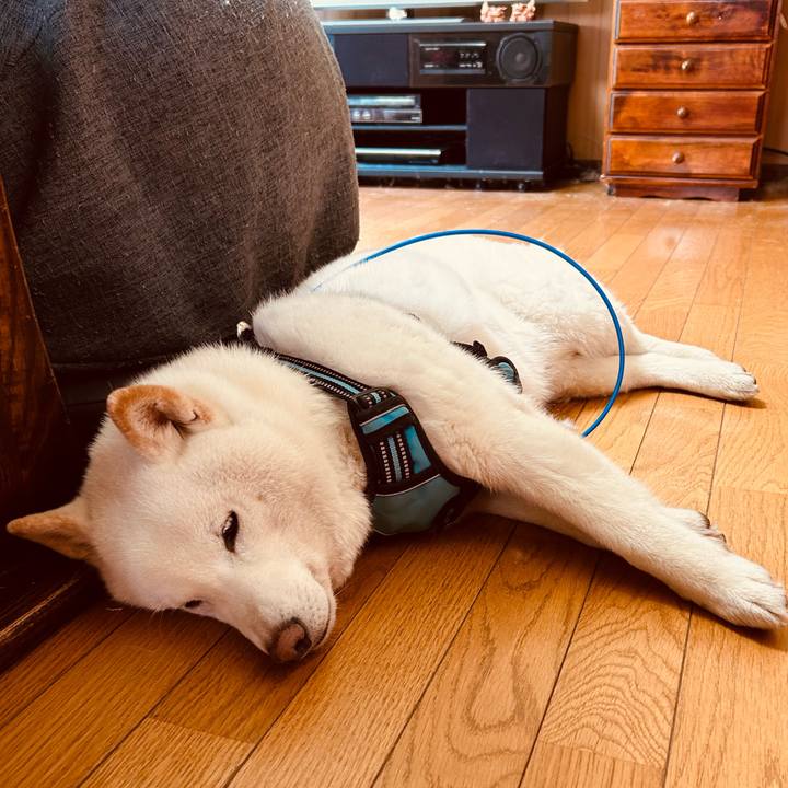 3a9071db adf1 4093 8a4f 544624e10686 1682542179072