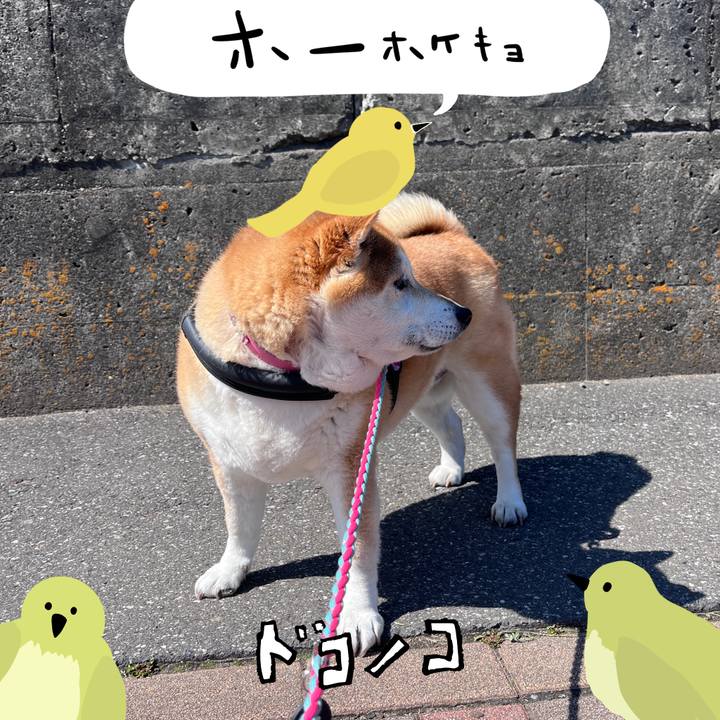 3a908c9b fc3e 4a67 bb96 a57b002a36d1 1711040784098