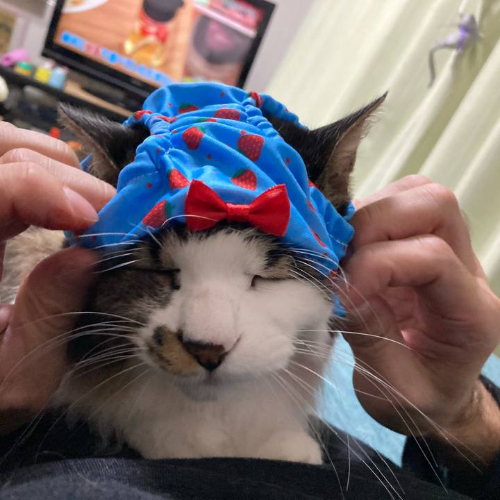 3a90ad9d 9909 4b46 85ac 753abfd34bfa 1762261158966