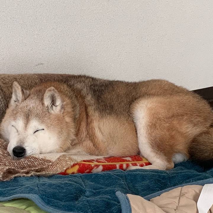 3a90e84d 2f70 41ff 862a 15422880506e 1676716896979