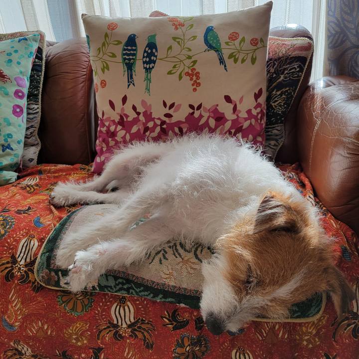 3a91015f 7972 44a6 bd87 d9557172f05f 1670812046402