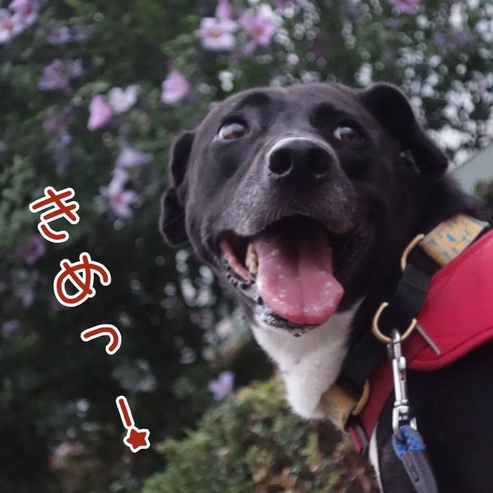 3a911532 2ceb 474b 9b10 151ddd02b3fb 1624790606217