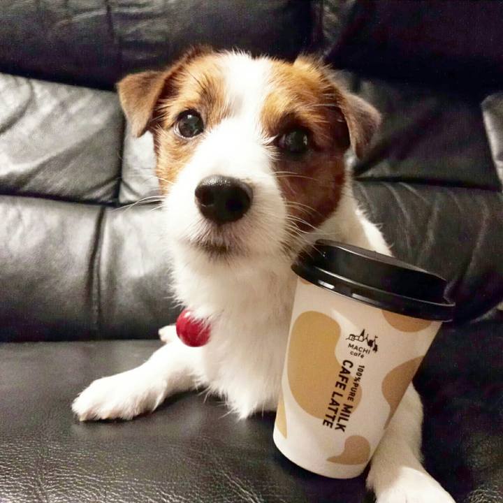 3a913101 8ffb 4ad0 a291 8e98f7d6929d 1508973087656