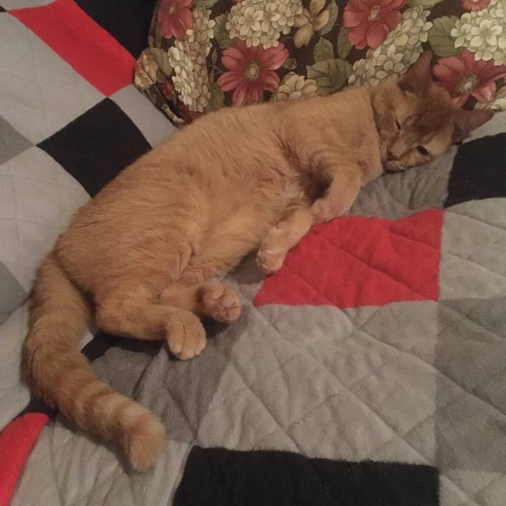 3a9156be 5687 42d9 97b4 54103022ad4c 1651801043361