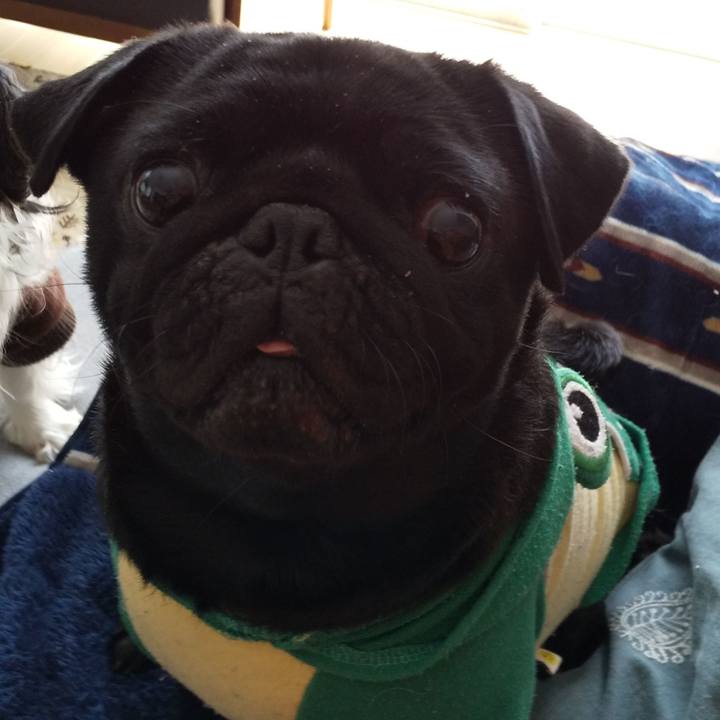 3a916106 3359 4f21 aea5 9b373238539c 1587272148956