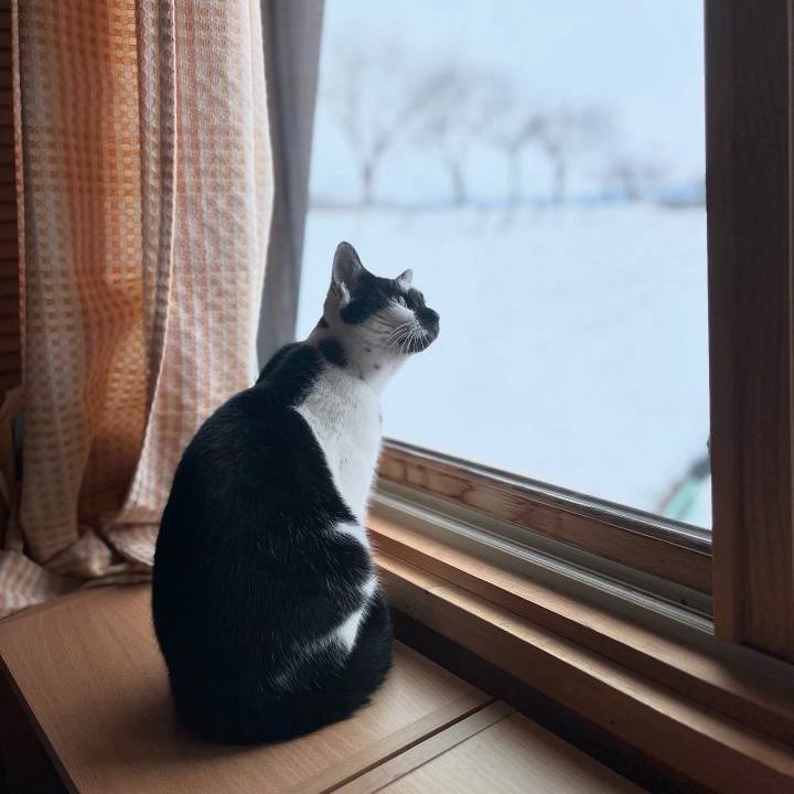 3a91756c f628 43a6 84a4 0d526e901306 1736125492617