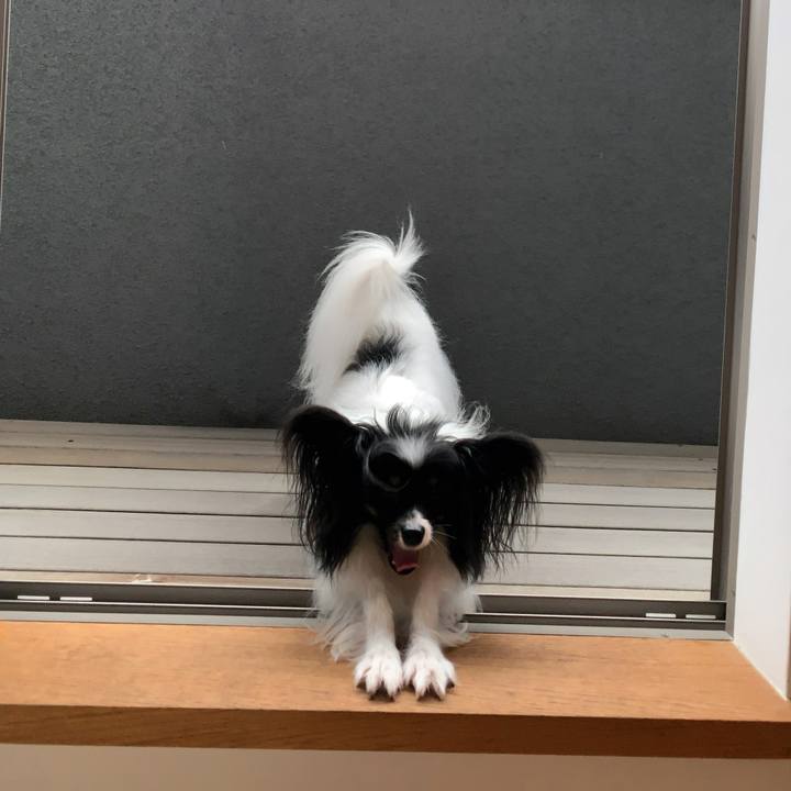 3a91bbcb b901 4090 a9b8 432a98f66c1a 1564193234627