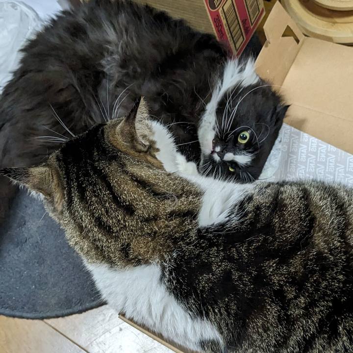 3a91f9fe 8e74 495b a7de f3fda3e1fe43 1717936654850