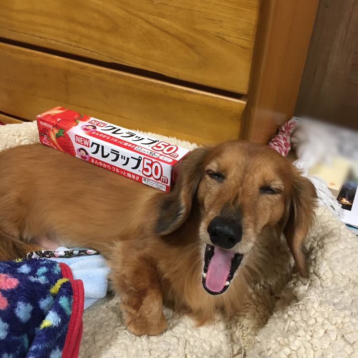 3a91fc04 3cbe 4d71 bb08 f3439bfbd0d3 1585229396504