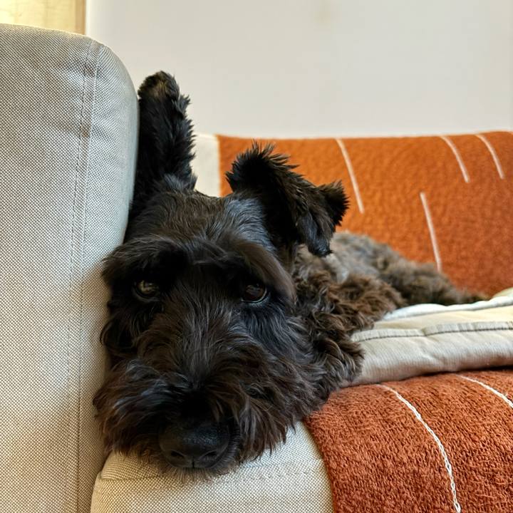 3a9234bc 81b1 4e2f 8699 c4a275e15cce 1760763446907