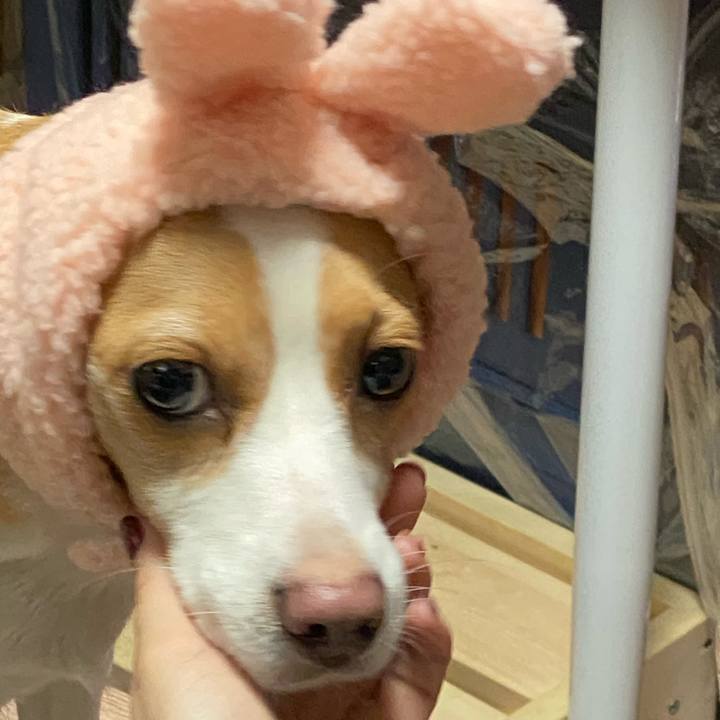 3a9238e3 4b9d 43e5 9f14 a76e9883053d 1604981990741