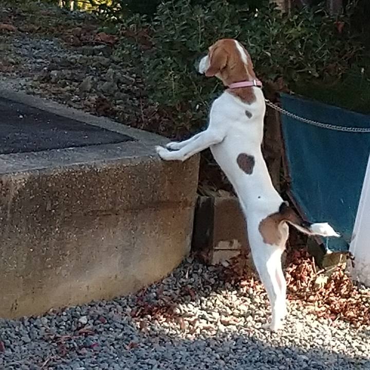 3a92dafb 3060 4654 8128 0e98e62e658f 1580889865329