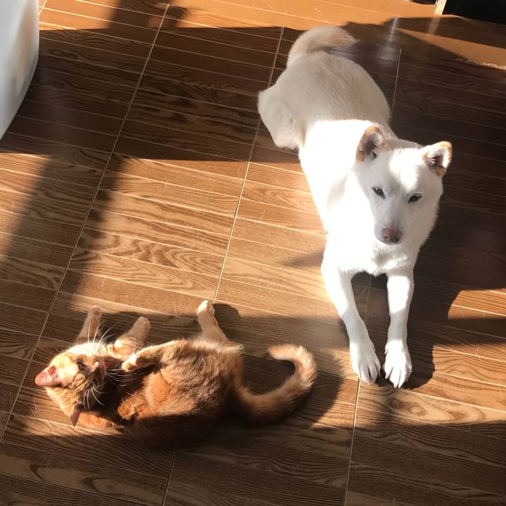 3a92edd8 2a94 43f4 9de8 a3e030a78b8f 1520381019574