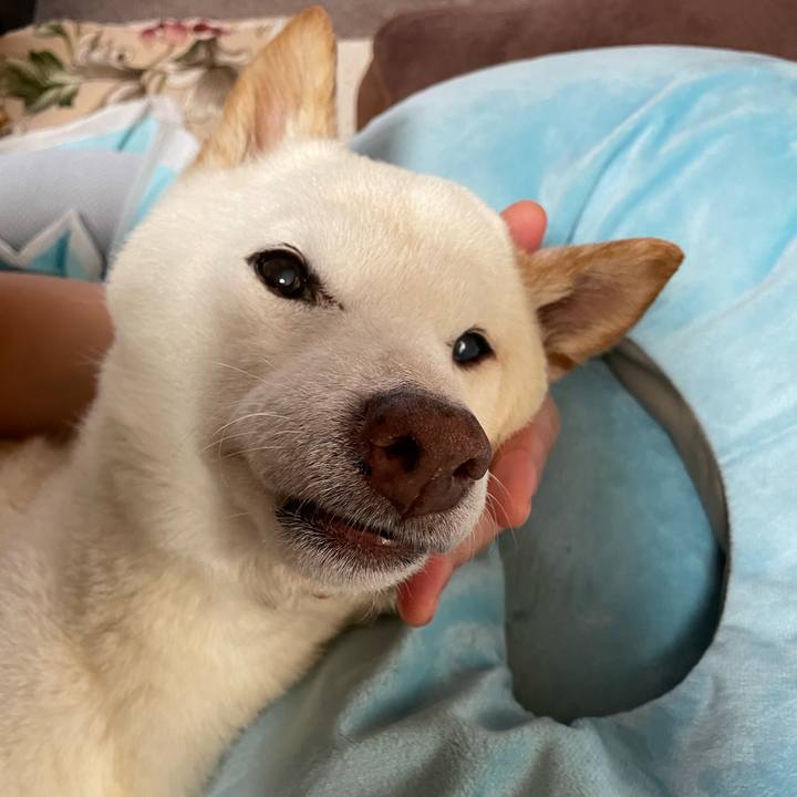 3a930c2c daa6 44ef 97d9 eba6ca01b416 1659753083981