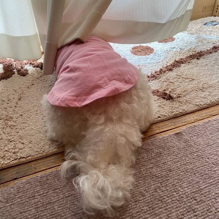 3a931db2 b4da 4ba6 885d 531cc1204e2d 1730844207991