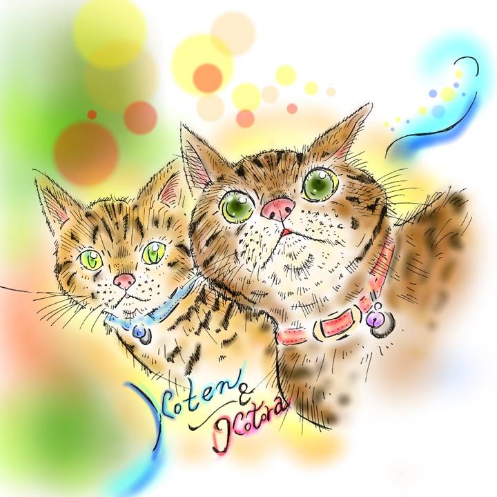 3a9320d7 14ab 4f25 999e af8241b6e590 1588351393822