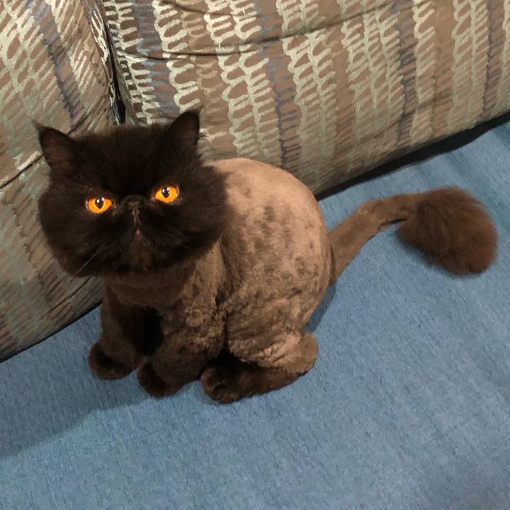 3a9335b7 3a89 45c2 9708 b21943bd57e6 1625402233536