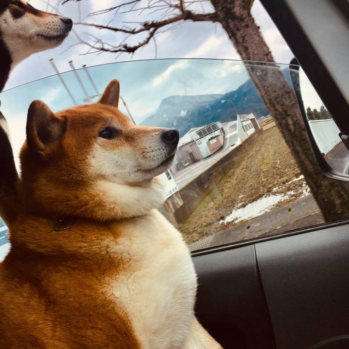 3a934db4 26dc 436c 98ad f8d9ae1bf263 1581103067768