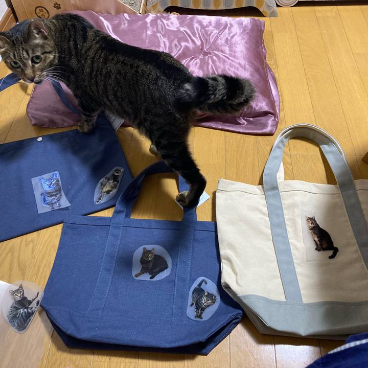 3a935b20 dc8b 43b8 b99c aa9c91462d1b 1689163555626