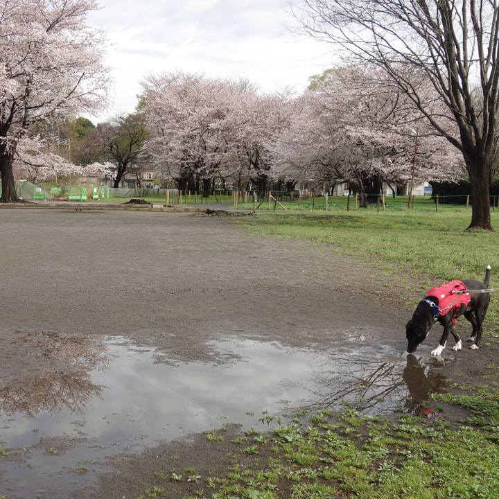 3a936140 efa6 4cc7 9590 ba694712c2d3 1679622315006