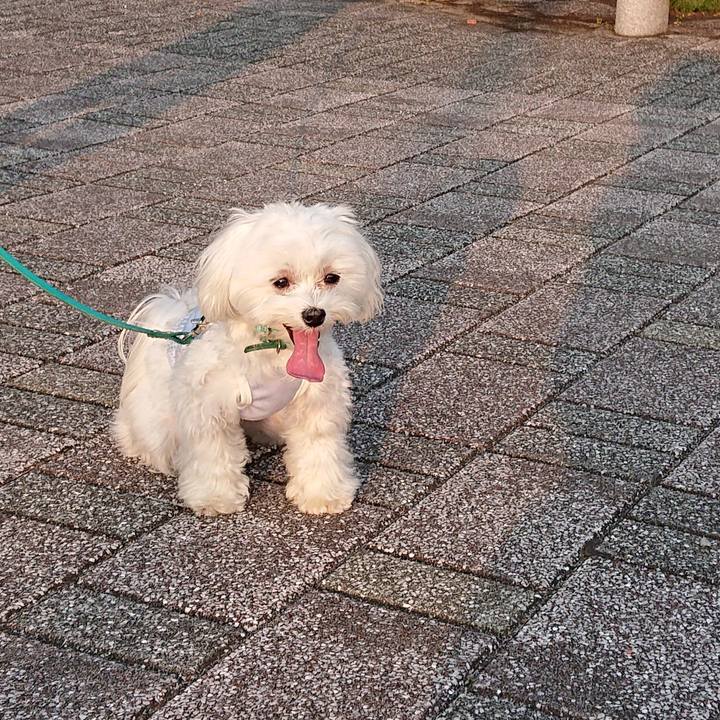 3a93d232 6a3b 4628 b233 84716f931c5b 1588410994747