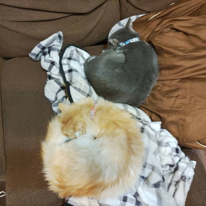 3a9417b7 62cb 45a5 b132 62f70a19602f 1705873906829